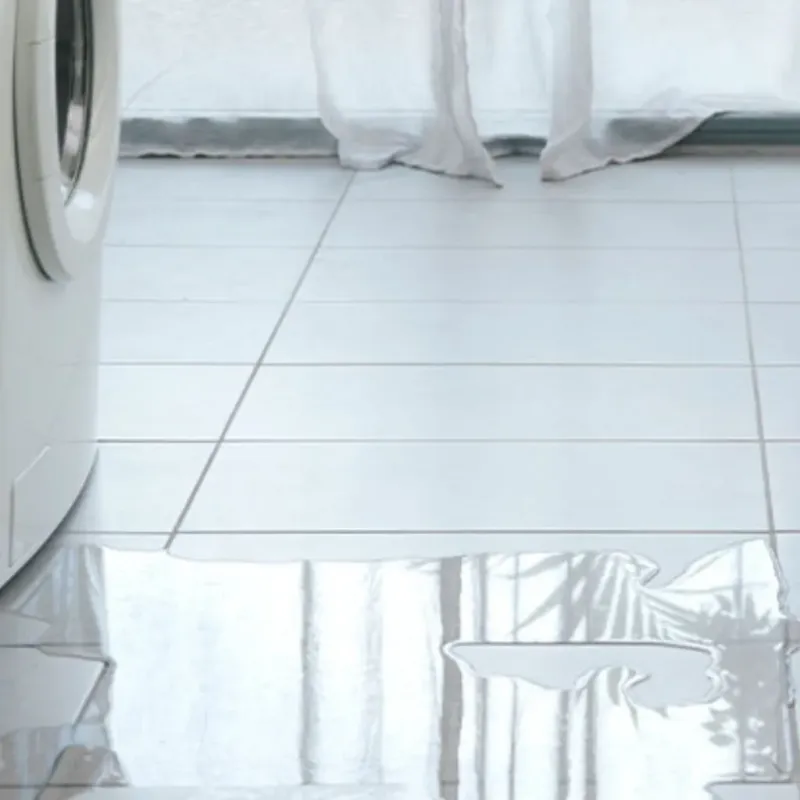 Appliance Leak Cleanup in Troy, MO