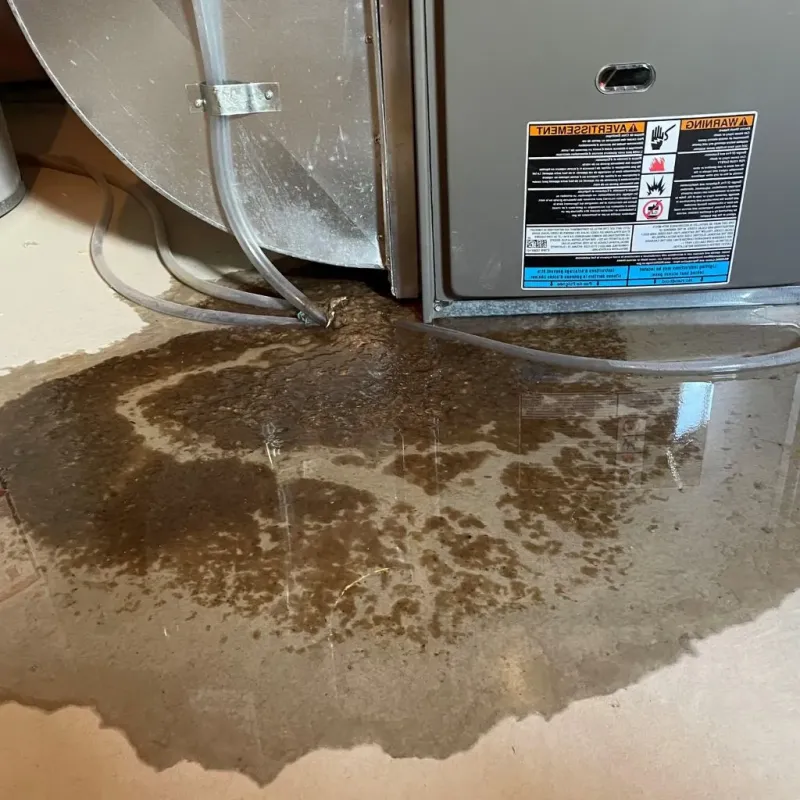 Pipe Burst and Leak Restoration in Troy, MO
