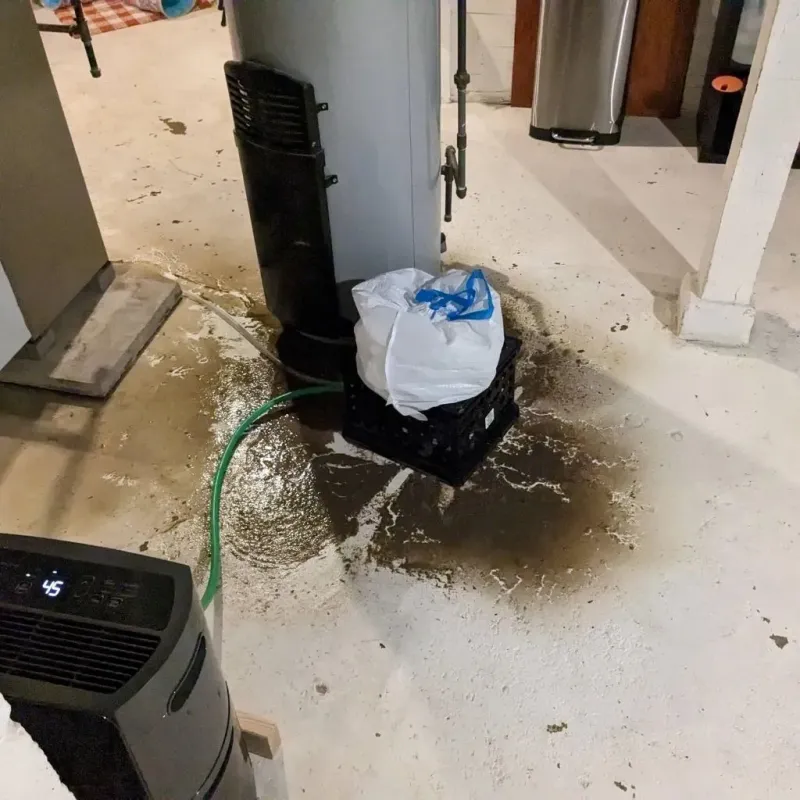 Sewage Backup Cleanup Service in Troy, MO